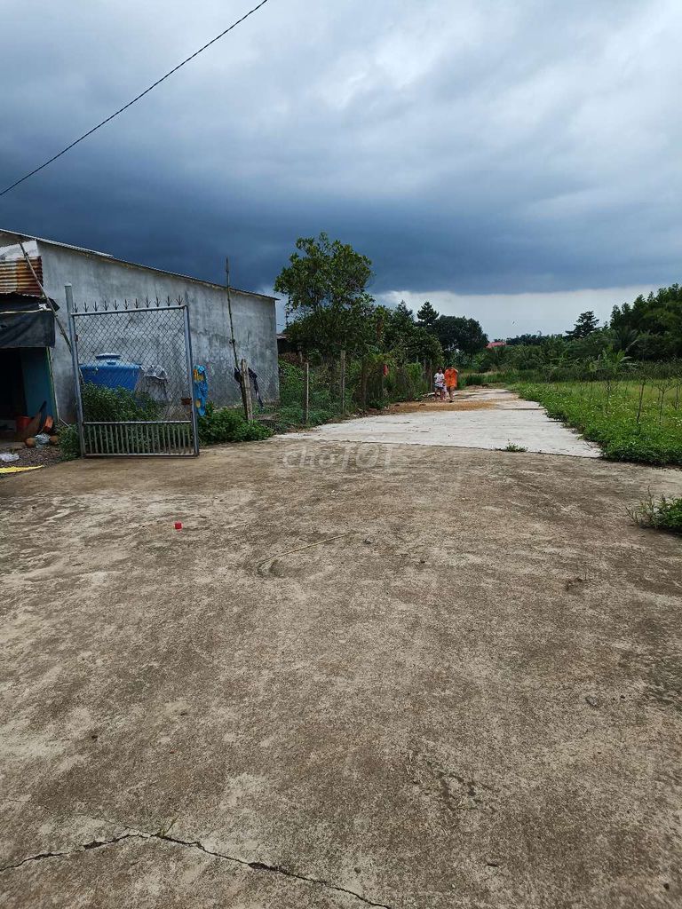 4330381 ảnh đại diện 1