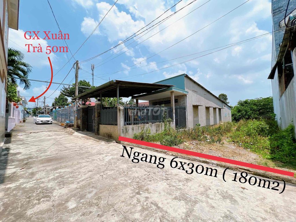 4332740 ảnh đại diện 2
