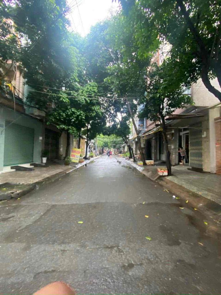 4328306 ảnh đại diện 2