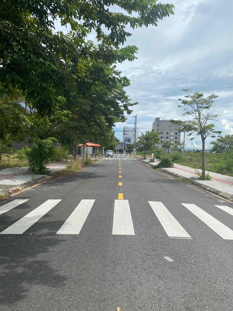 4330535 ảnh đại diện 1
