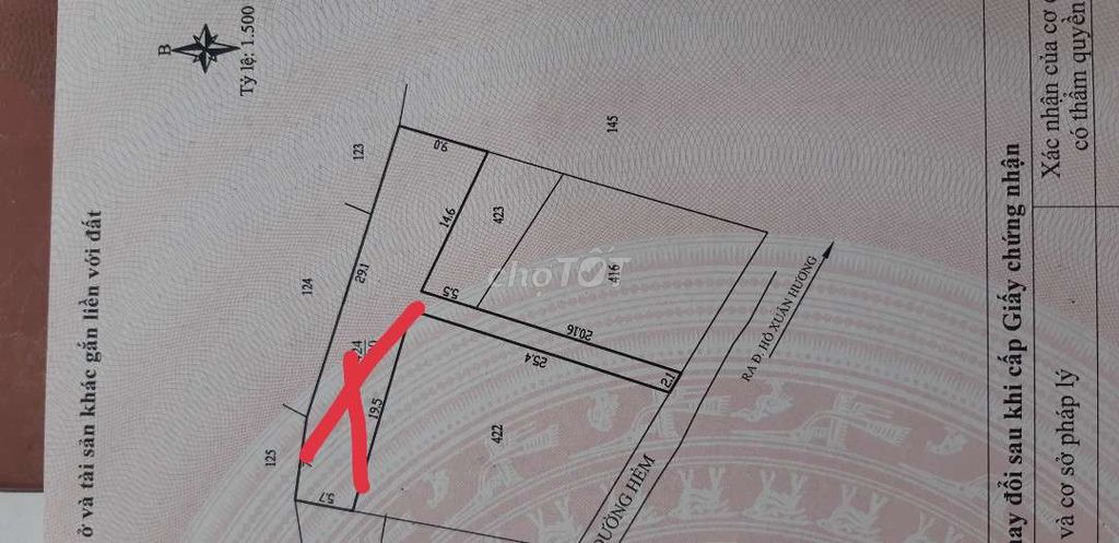 4329137 ảnh đại diện 2