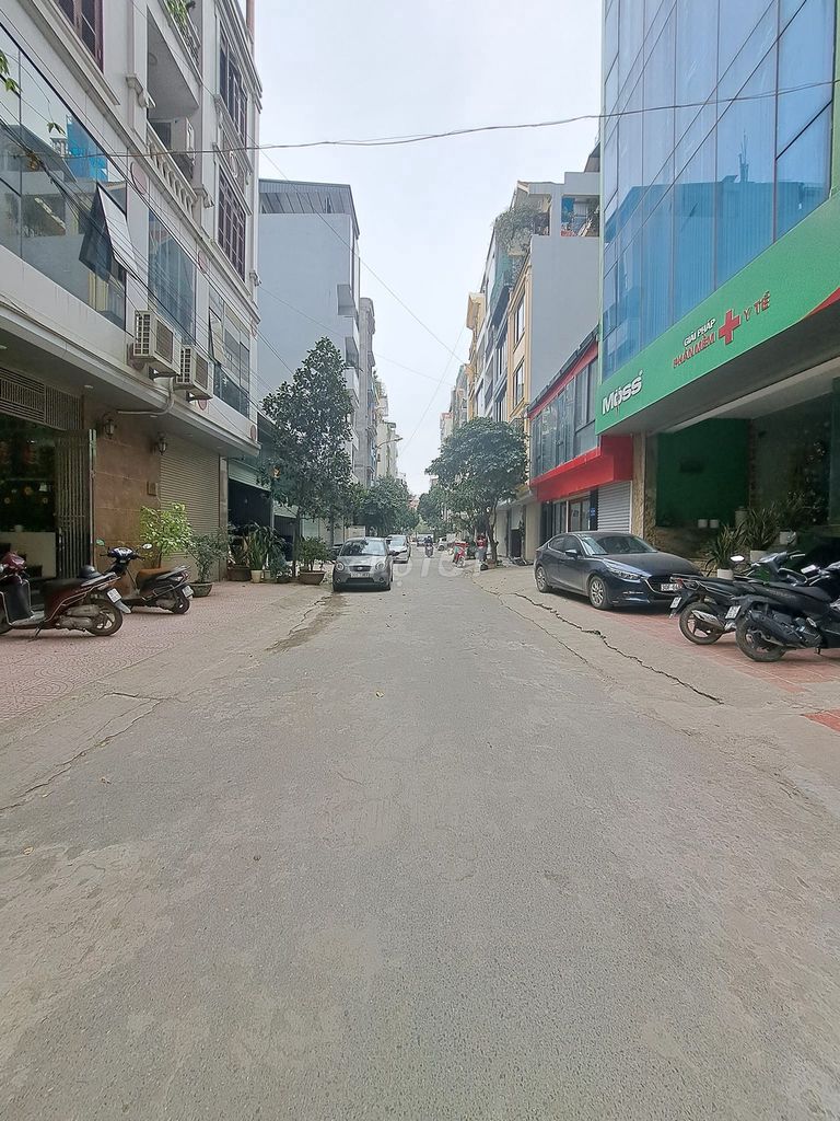 4328151 ảnh đại diện 1