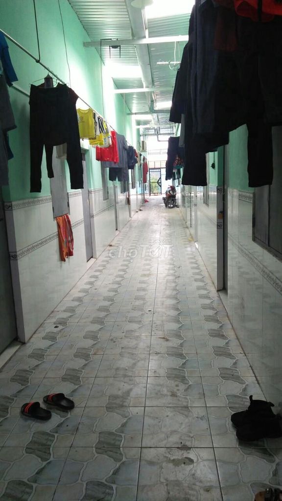4327979 ảnh đại diện 2