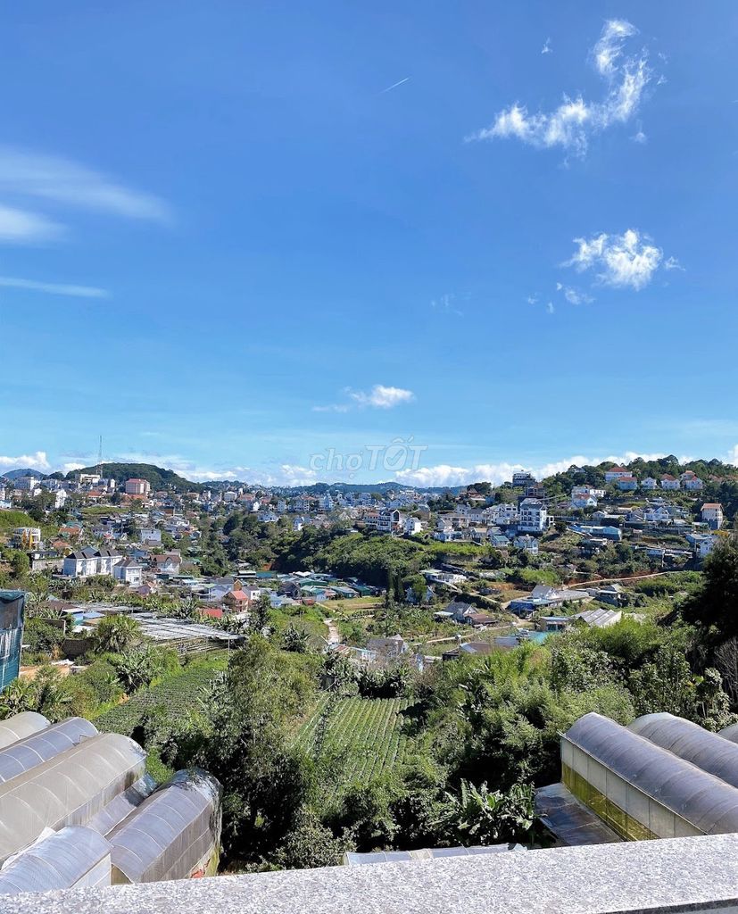 4330543 ảnh đại diện 2
