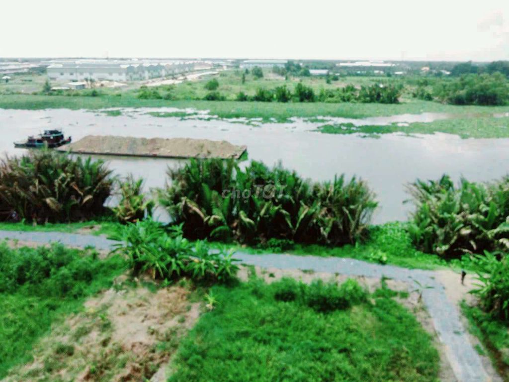 4330559 ảnh đại diện 1