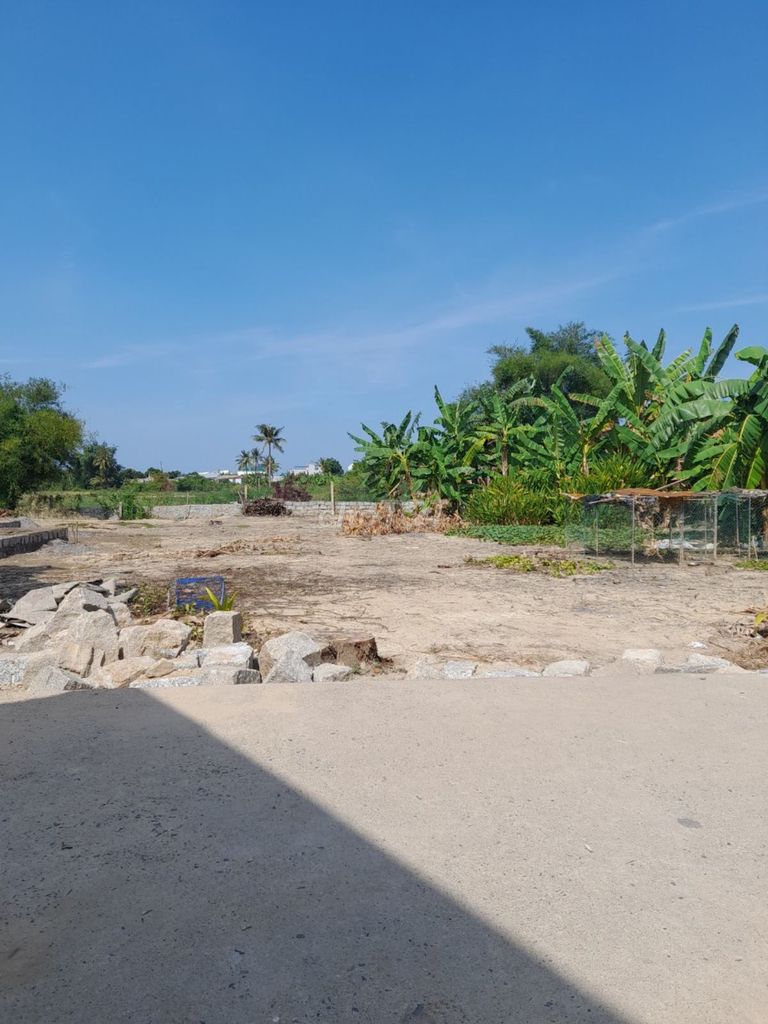 4330015 ảnh đại diện 1