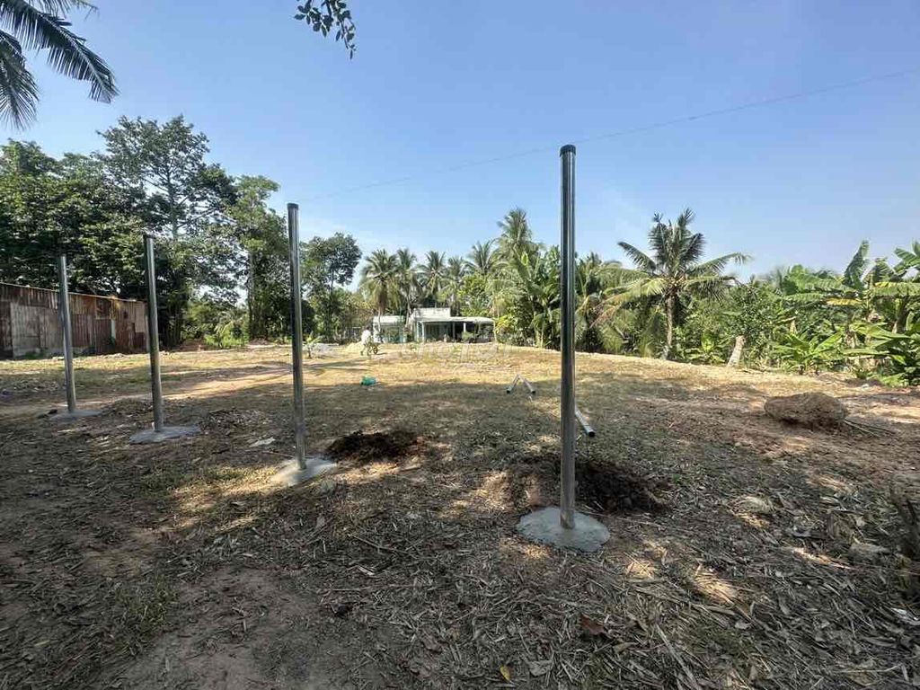 4330379 ảnh đại diện 1