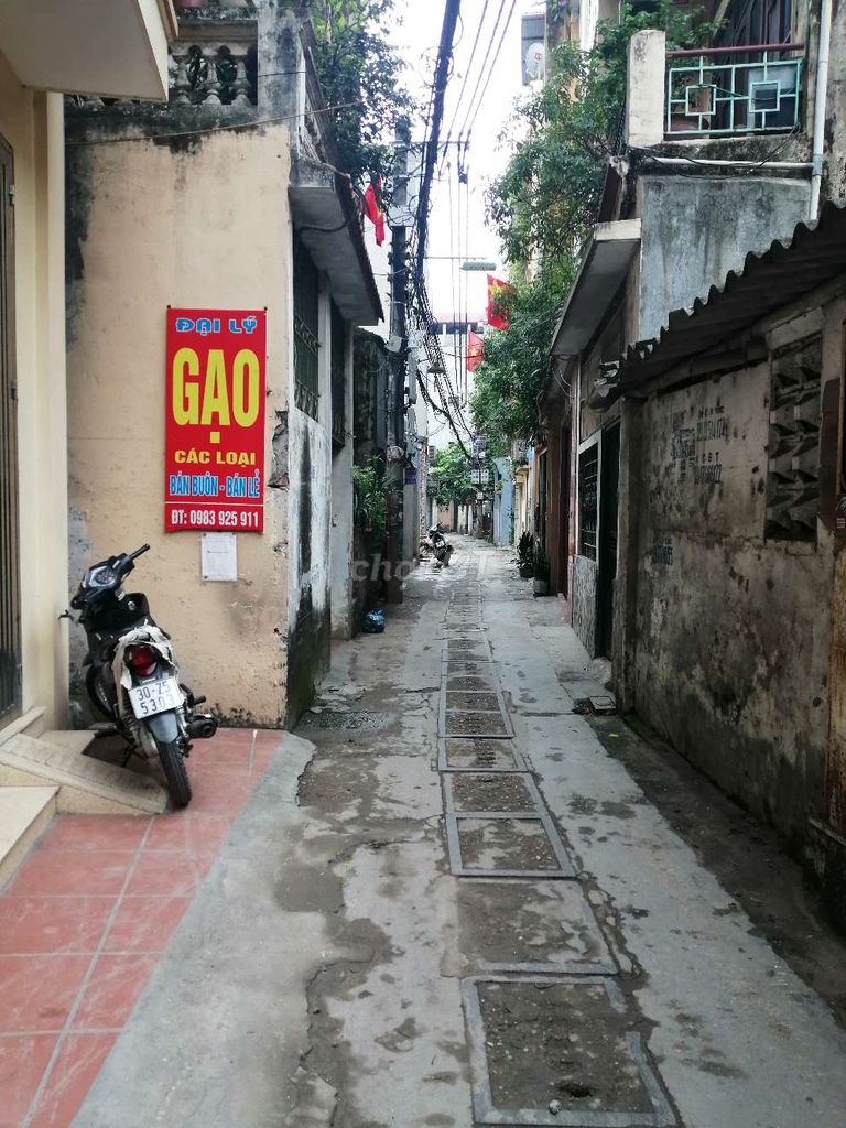 4330658 ảnh đại diện 2