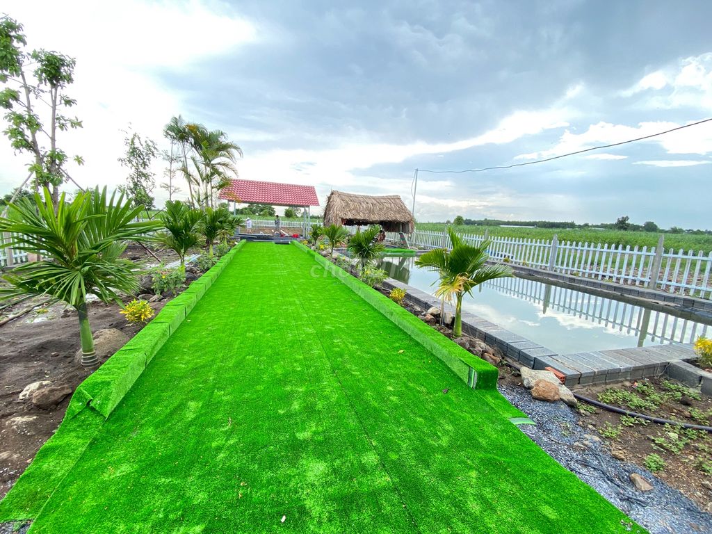 4331050 ảnh đại diện 1