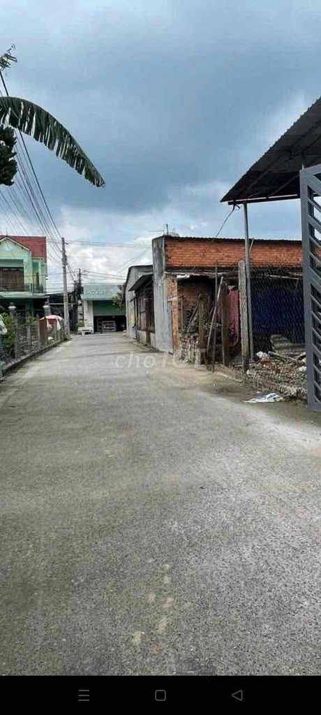 4333373 ảnh đại diện 2