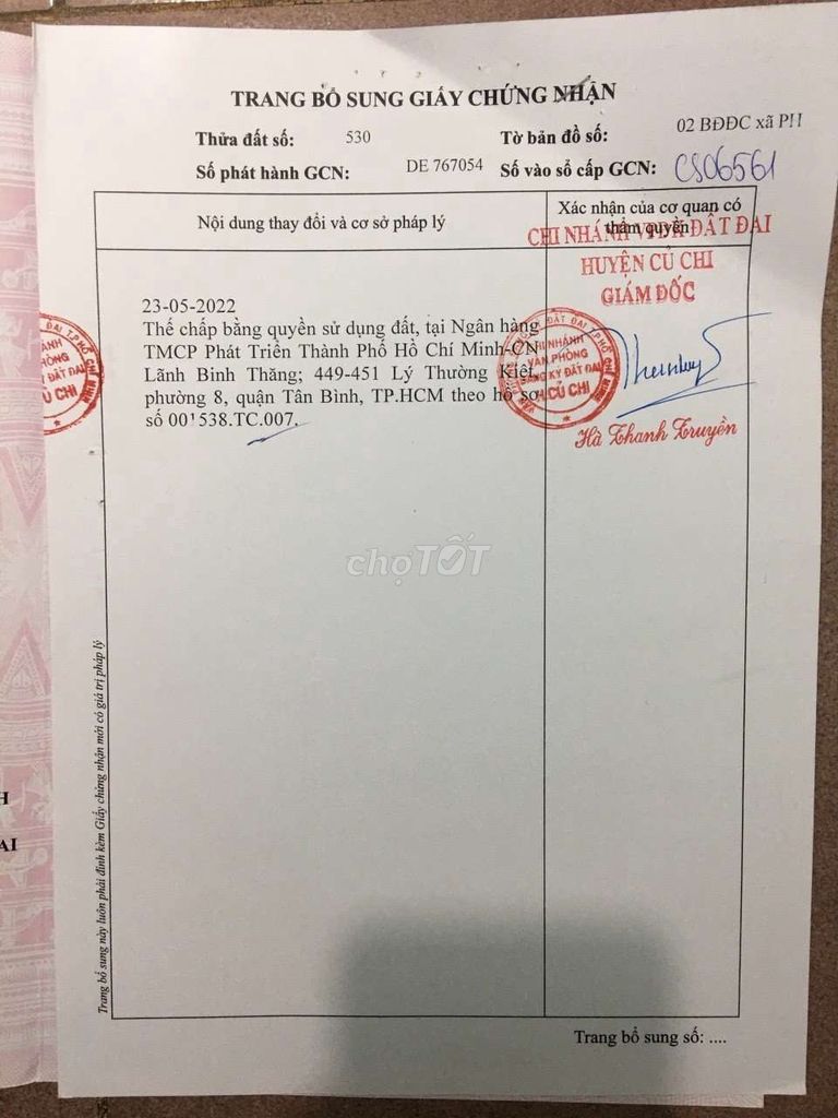 4330052 ảnh đại diện 2