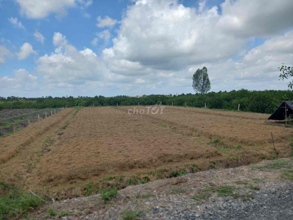 4335348 ảnh đại diện 1