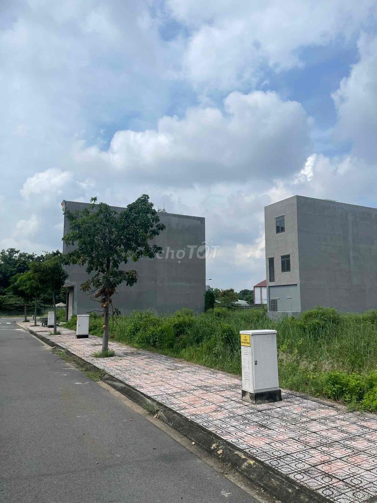 4330513 ảnh đại diện 2