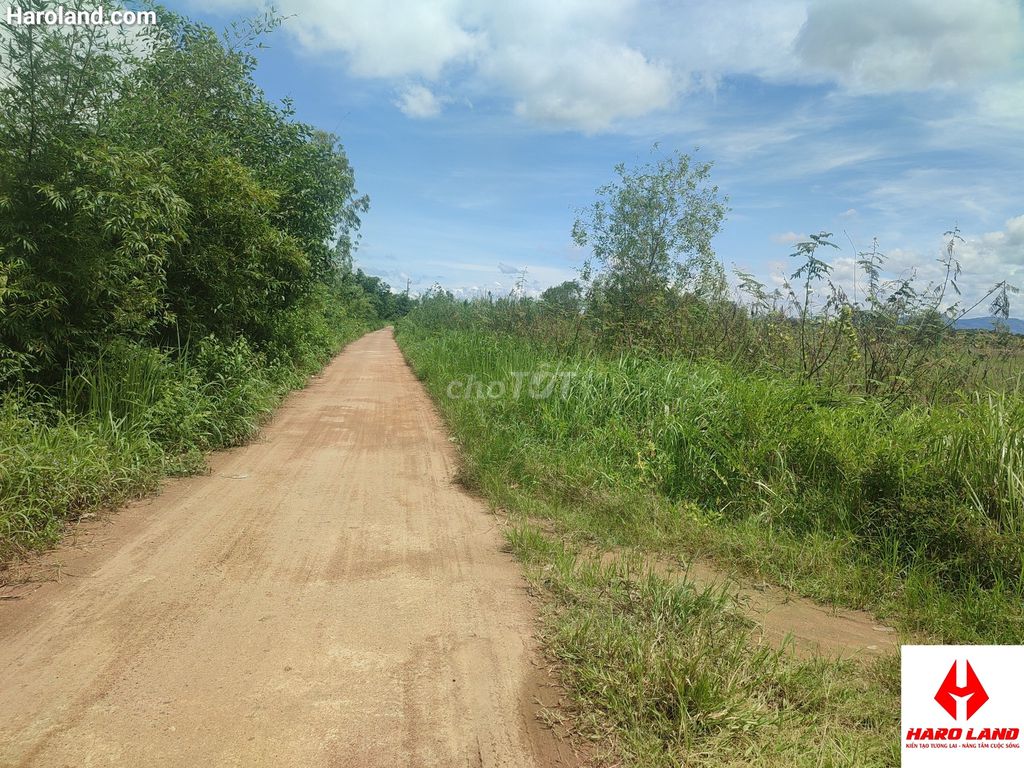 4330848 ảnh đại diện 1