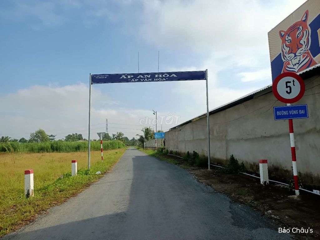 4329587 ảnh đại diện 1