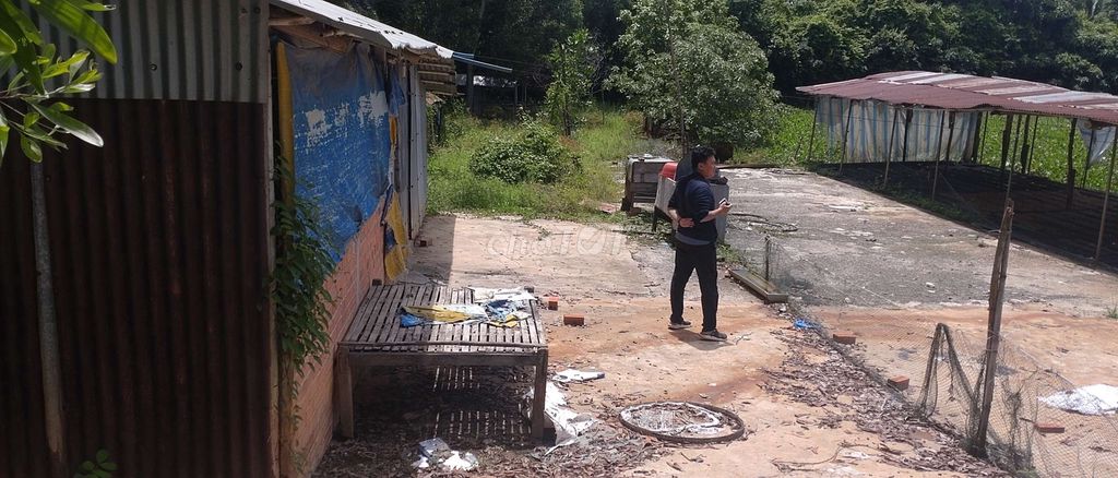 4330195 ảnh đại diện 1