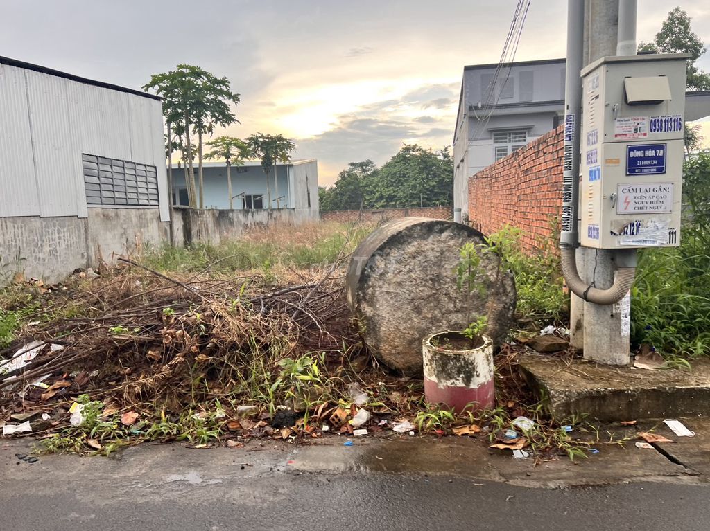 4330424 ảnh đại diện 1