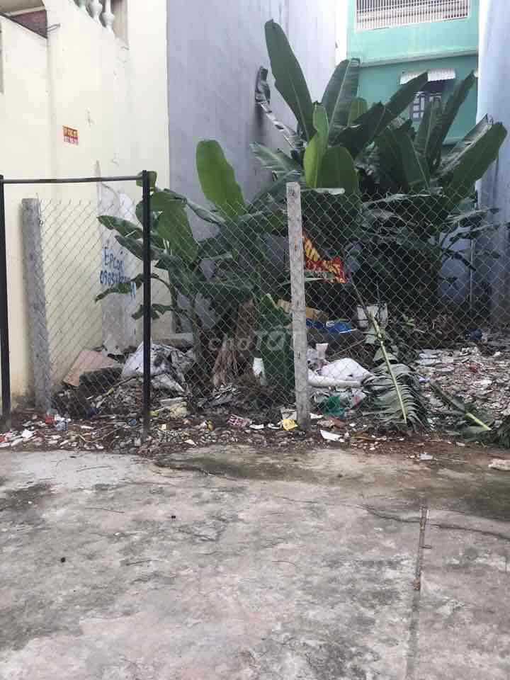 4330485 ảnh đại diện 1