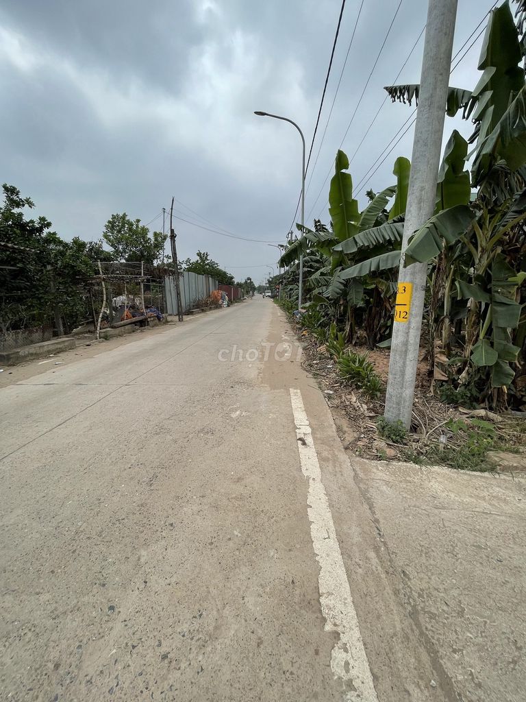 4330471 ảnh đại diện 2