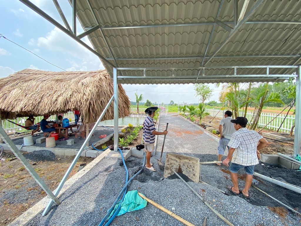 4331050 ảnh đại diện 2