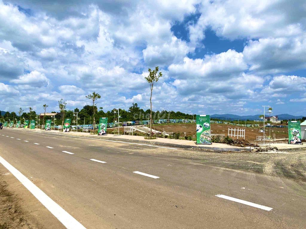 4329069 ảnh đại diện 2