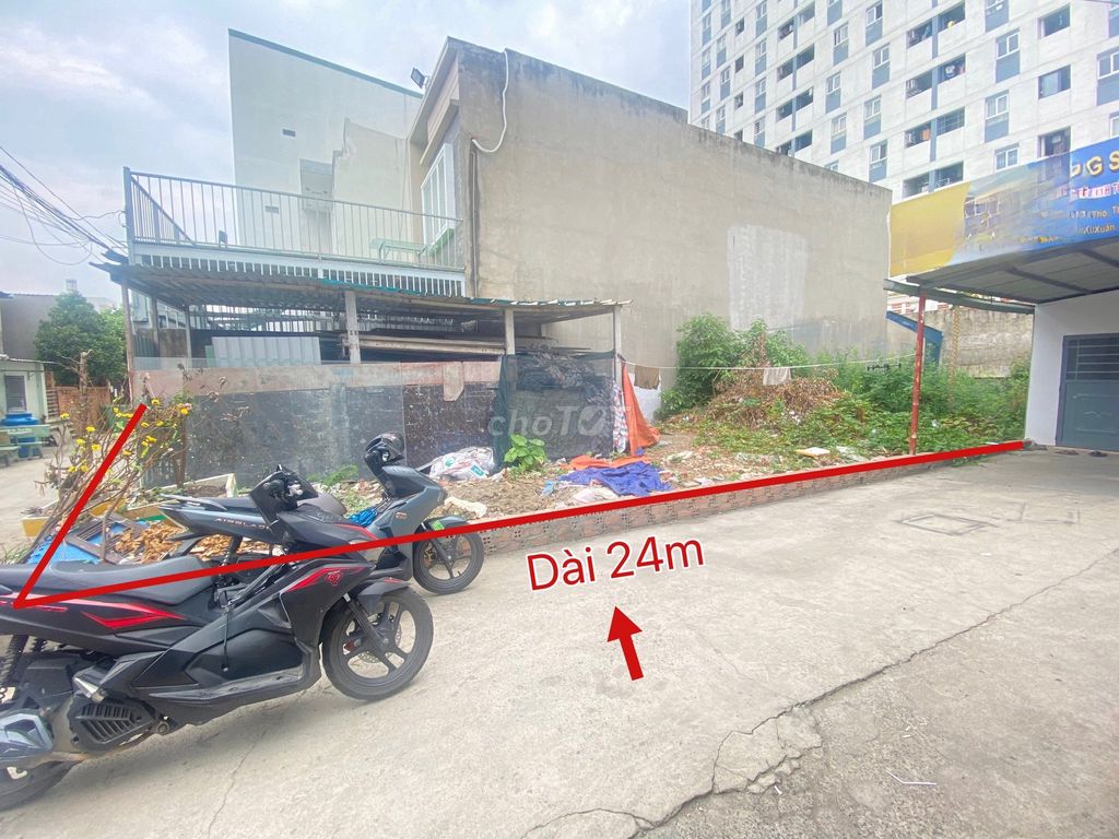 4330591 ảnh đại diện 1