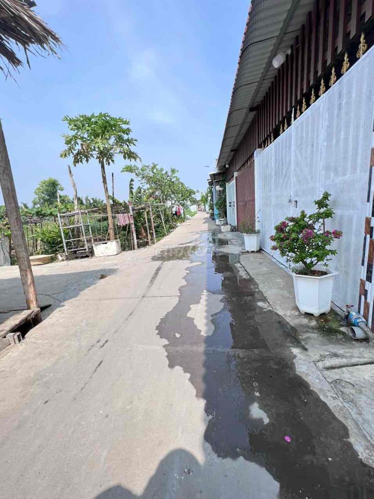 4332116 ảnh đại diện 2