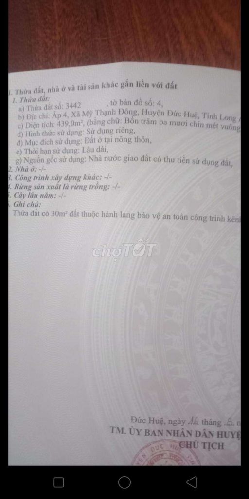 4329480 ảnh đại diện 2