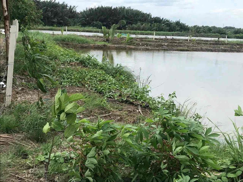 4330511 ảnh đại diện 1