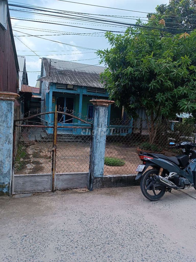 4330955 ảnh đại diện 2
