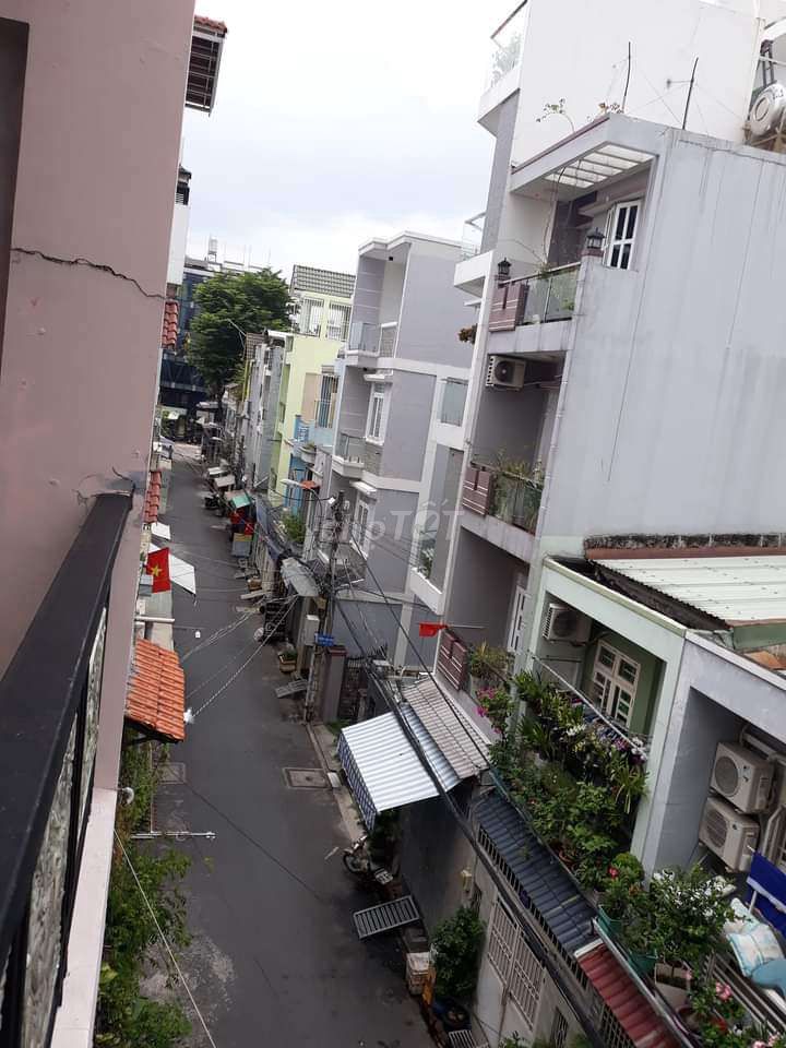 4331694 ảnh đại diện 2