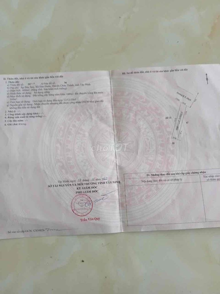 4327498 ảnh đại diện 1