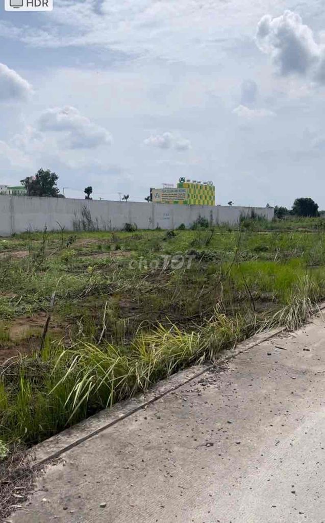 4330087 ảnh đại diện 1