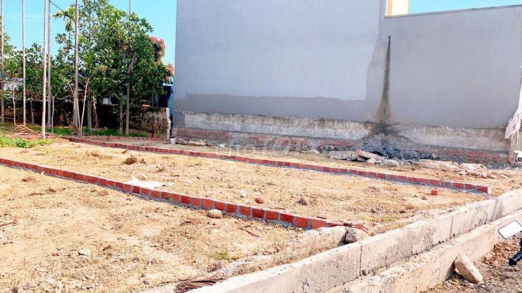 4329848 ảnh đại diện 1
