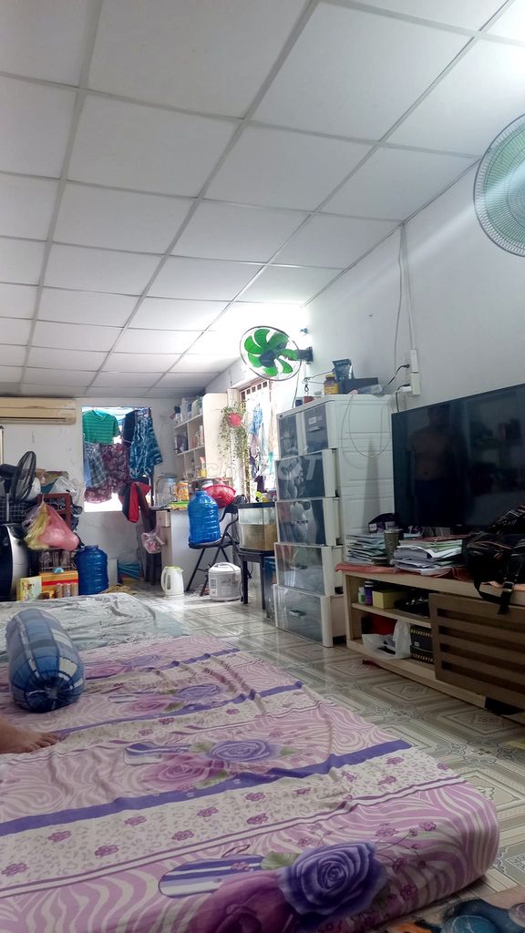 4327505 ảnh đại diện 1