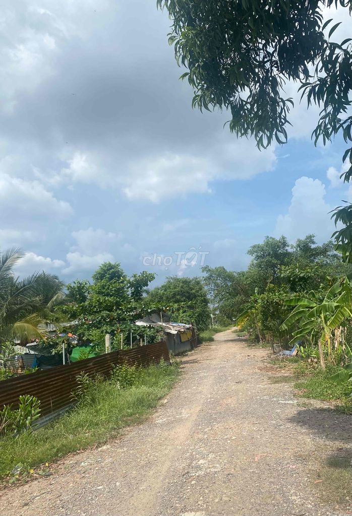 4327753 ảnh đại diện 2