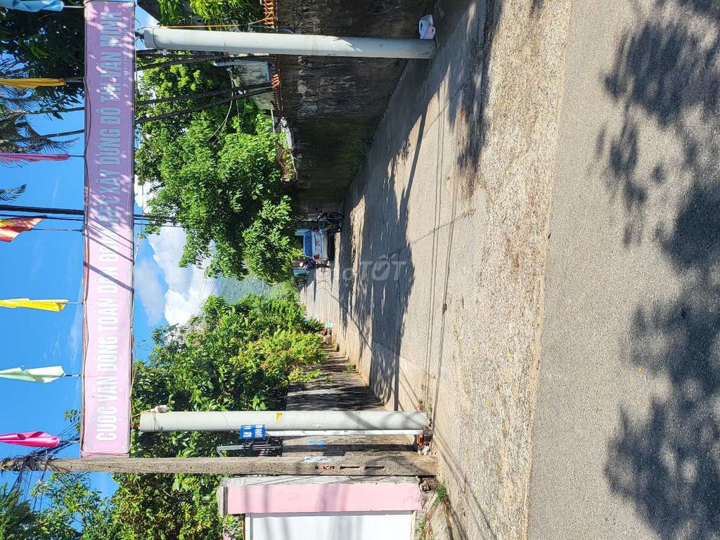 4333111 ảnh đại diện 1