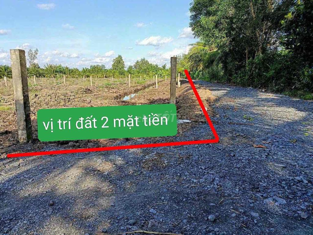 4329784 ảnh đại diện 1