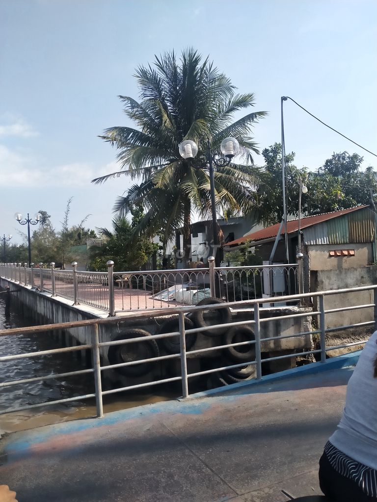 4327776 ảnh đại diện 1