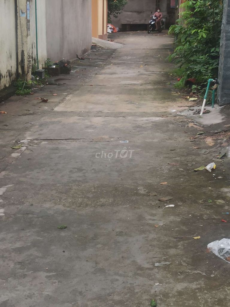 4328042 ảnh đại diện 1