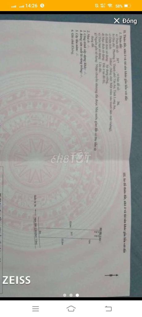 4328443 ảnh đại diện 1
