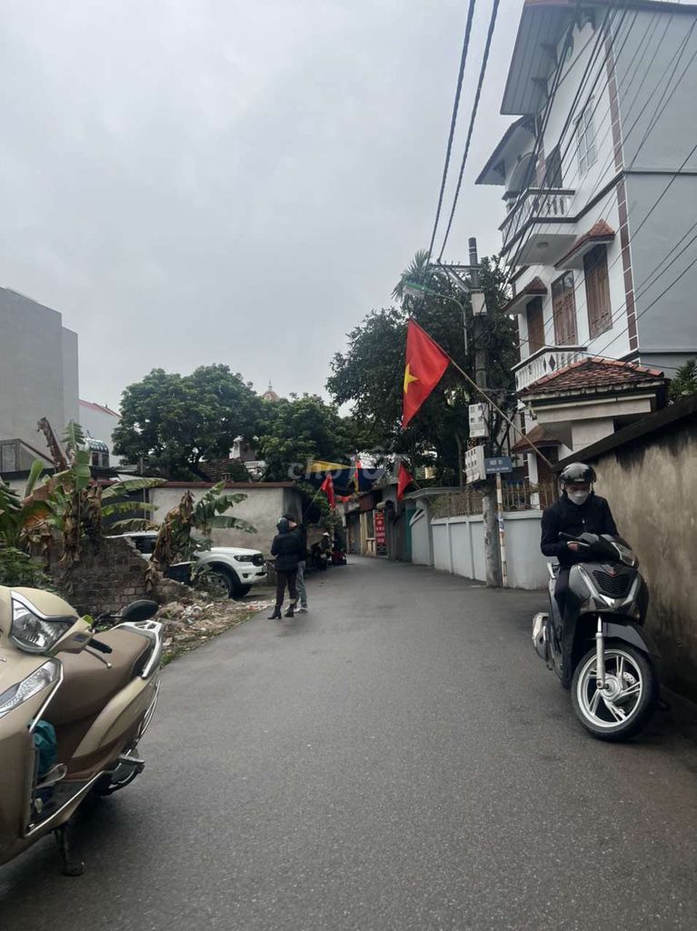 4335442 ảnh đại diện 1