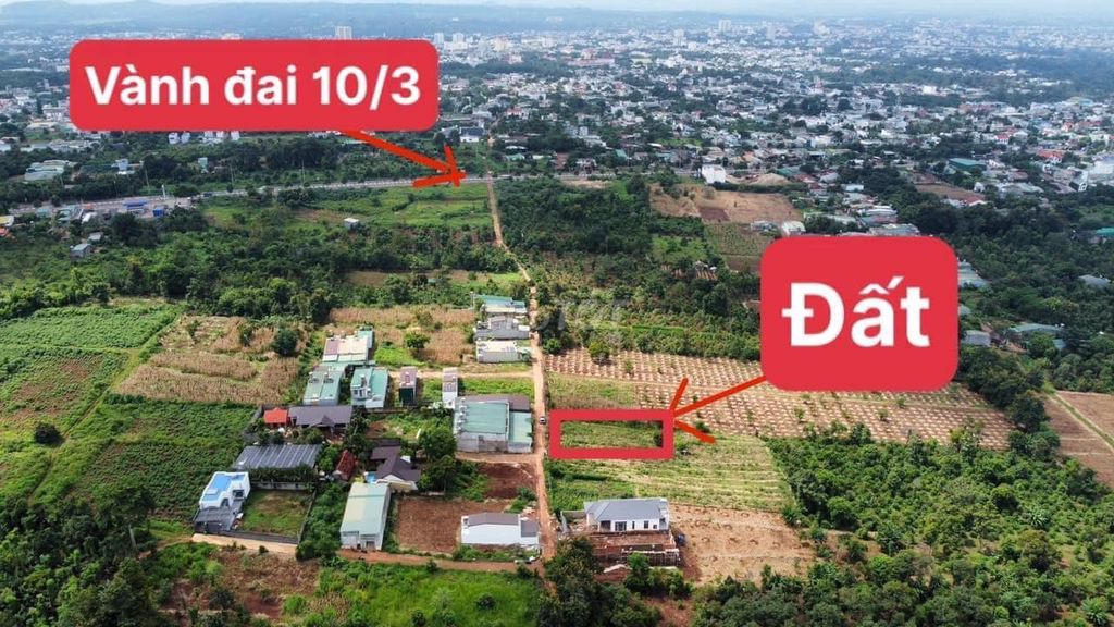 4328194 ảnh đại diện 1