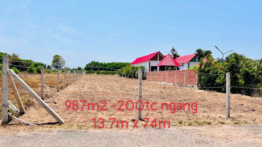 4330557 ảnh đại diện 1