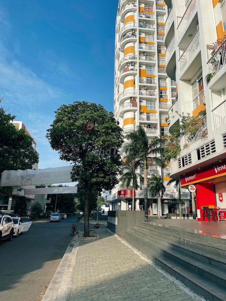 4333468 ảnh đại diện 1