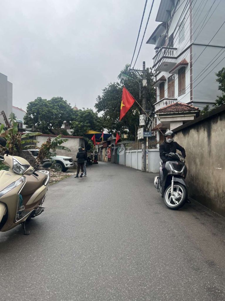4335442 ảnh đại diện 1