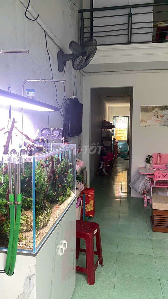 4330664 ảnh đại diện 1
