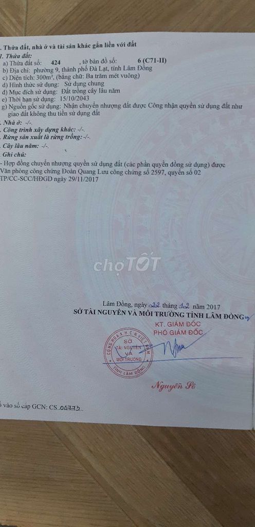 4329137 ảnh đại diện 1