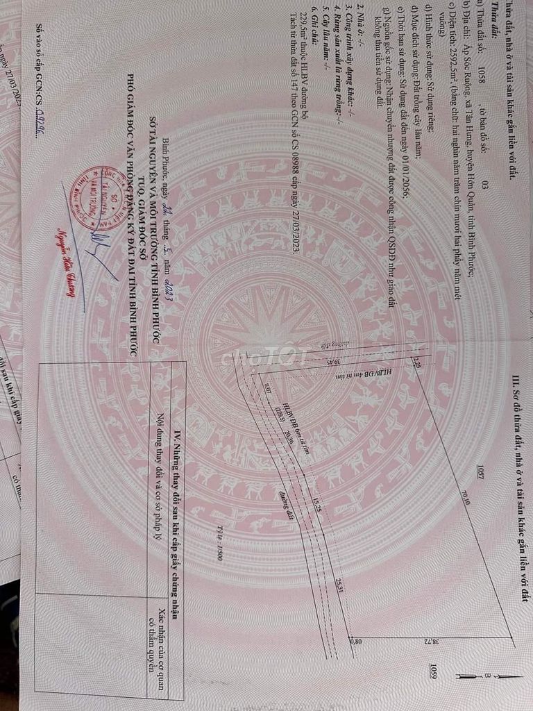 4328041 ảnh đại diện 2