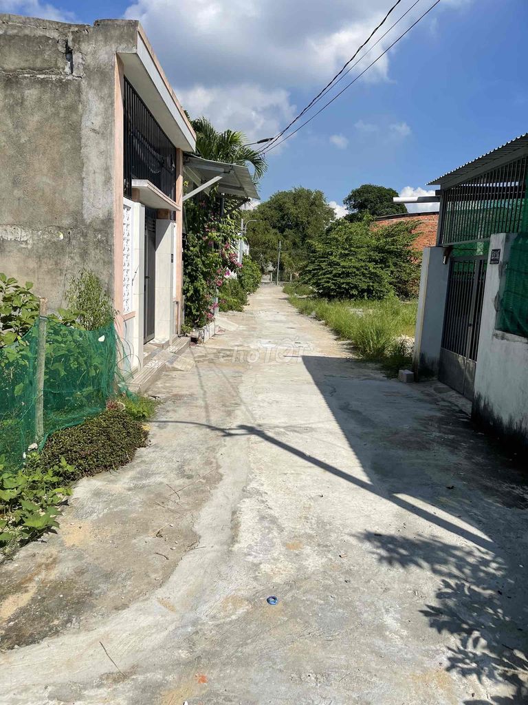 4327659 ảnh đại diện 1